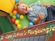 Voorbeeld afbeelding van Speeltuin Zippa Zebra's Funjungle in Hoogeveen