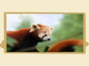 Voorbeeld afbeelding van Dierentuin Dierenrijk in Mierlo