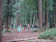 Voorbeeld afbeelding van Groepsactiviteiten Landgoed Schovenhorst in Putten