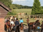 Voorbeeld afbeelding van Paardrijden, Manege, Huifkar Ruitercentrum het Fjordenpaard in Een