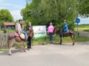 Voorbeeld afbeelding van Ezeltocht Ezelstal de Edelingen in Zelhem