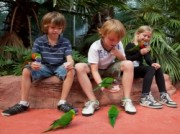 Voorbeeld afbeelding van Dierentuin Vogelpark Avifauna in Alphen aan den Rijn