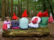 Voorbeeld afbeelding van Wandelroute Kabouterpad Buitencentrum Drents-Friese Wold in Appelscha