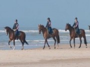 Voorbeeld afbeelding van Paardrijden, Manege, Huifkar Duinmanege van Poelenburgh in Schoorl