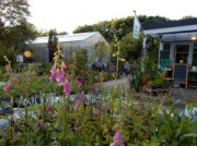 Voorbeeld afbeelding van Tuinen, Kunsttuinen Hortus Alkmaar in Alkmaar