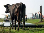 Voorbeeld afbeelding van Groepsactiviteiten Polder Sport De Kwakel in De Kwakel
