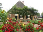 Voorbeeld afbeelding van Museum, Galerie, Tentoonstelling Veluws Museum Hagedoorns Plaatse in Epe