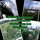 Voorbeeld afbeelding van Groepsactiviteiten De Bloemenboerderij/Maisdoolhof in Saaxumhuizen