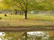 Voorbeeld afbeelding van Boerderij bezoek,Kinderboerderij Kinderboerderij De Schouw in Zutphen