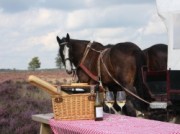 Voorbeeld afbeelding van Paardrijden, Manege, Huifkar Stalhouderij Wouter Hazeleger in Otterlo