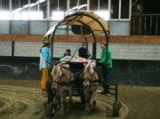 Voorbeeld afbeelding van Paardrijden, Manege, Huifkar Huifbedrijden De Bevelanden in Kamperland