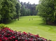 Voorbeeld afbeelding van Golfen, Minigolf de Herkenbosche in Herkenbosch
