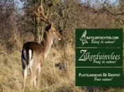 Voorbeeld afbeelding van Groepsactiviteiten Natuurtochten De Doofpot in De Zilk