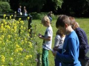 Voorbeeld afbeelding van Familiedag Natuur- en Milieucentrum Ossenbeemd in Deurne