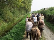 Voorbeeld afbeelding van Ezeltocht Ezelwandelingen Het Ezelhuis in Kamperland
