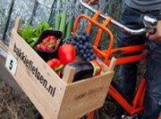 Voorbeeld afbeelding van Groepsactiviteiten Bakkie Fietsen in Kwintsheul