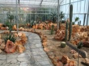 Voorbeeld afbeelding van Tuinen, Kunsttuinen Hortus Overzee in Den Helder