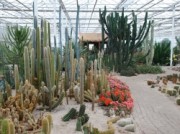 Voorbeeld afbeelding van Attractie, Pretpark Belevingspark CactusOase in Ruurlo