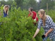 Voorbeeld afbeelding van Tuinen, Kunsttuinen Zelfplukfruitgaard De Hagen in Haulerwijk