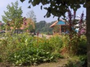 Voorbeeld afbeelding van Kinderboerderij, Boerderij bezoek De Ulebelt in Deventer