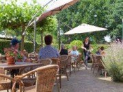 Voorbeeld afbeelding van Theetuin, Theehuis Theehuis Mon-Chouette in Leusden