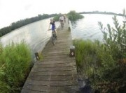 Voorbeeld afbeelding van Groepsactiviteiten Bike-Experience Amsterdam in Landsmeer
