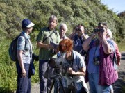 Voorbeeld afbeelding van Groepsactiviteiten Vogelsafari Calidris in De Cocksdorp (Texel)