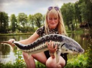 Voorbeeld afbeelding van Vissen WILD bijzonder vissen in Reutum