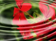 Voorbeeld afbeelding van Sauna, Beauty, Wellness Floaten Vrije Vlinders in IJzendijke