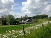 Voorbeeld afbeelding van Theetuin, Theehuis Theehuis en B&B Dreumelse Waard in Dreumel