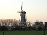 Voorbeeld afbeelding van Bezienswaardigheid Korenmolen Rijn & Weert in Werkhoven
