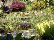 Voorbeeld afbeelding van Tuinen, Kunsttuinen Vijvertuin de Waterjuffer in Augustinusga