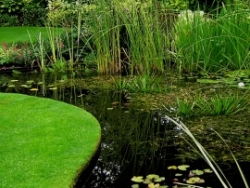 Vergrote afbeelding van Open Tuin in de Noordoostpolder in Espel