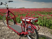 Voorbeeld afbeelding van in