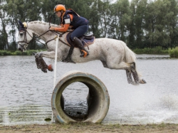Vergrote afbeelding van Veelzijdige paardensport in recreatiegebied Vlietland in Leidschendam