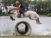 Voorbeeld afbeelding van in