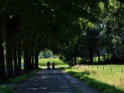 Voorbeeld afbeelding van in
