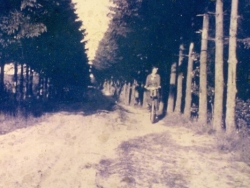 Vergrote afbeelding van Cultureel fietsrondje "in 't Karrespoor" in Nieuwland