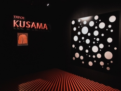 Vergrote afbeelding van Moco Museum viert 90ste verjaardag Yayoi Kusama in Amsterdam