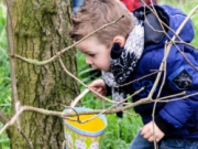 Voorbeeld afbeelding van in