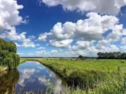 Voorbeeld afbeelding van   in 